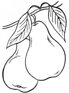 Pear coloring page 23 - Free printable