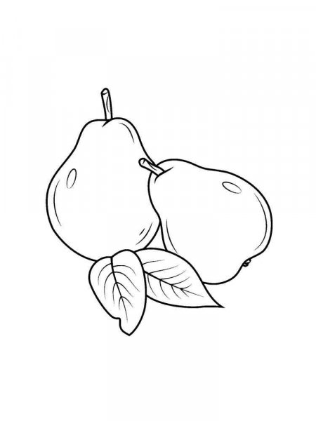 Pear coloring pages