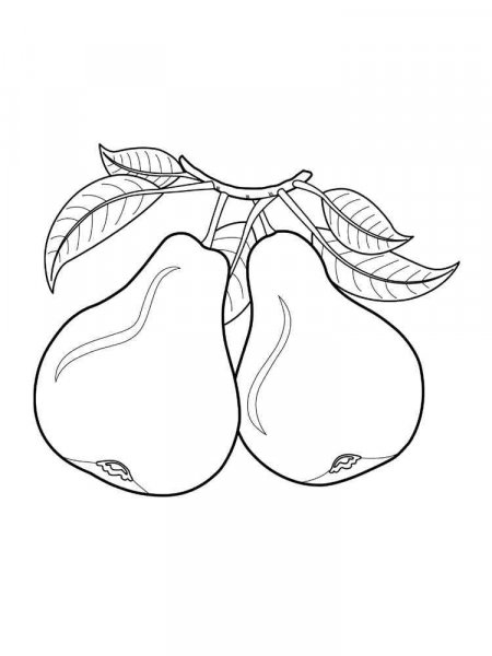 Pear coloring pages