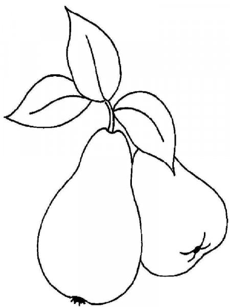 Pear coloring pages