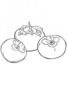 Persimmon coloring page 1 - Free printable