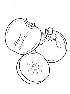 Persimmon coloring page 5 - Free printable