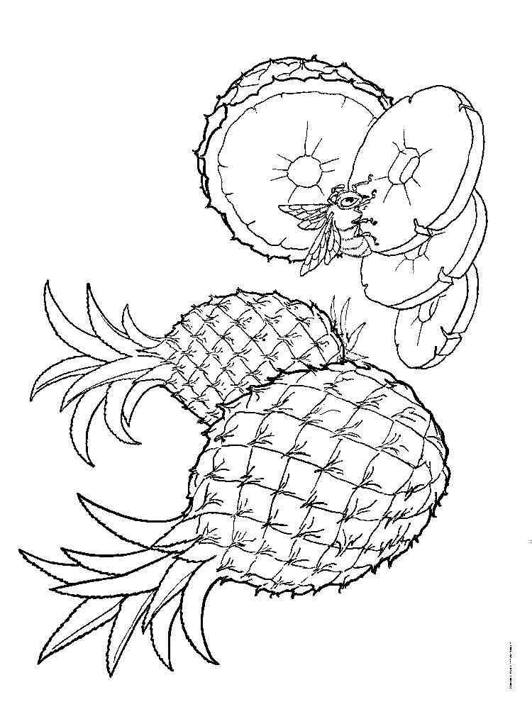 Pineapple coloring pages. Download and print Pineapple ...