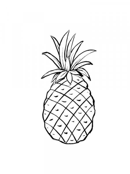 Pineapple coloring pages