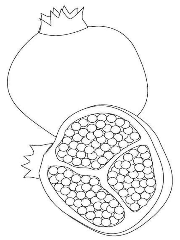 Download Pomegranate coloring pages. Download and print Pomegranate coloring pages.