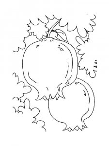 Pomegranate coloring page 11 - Free printable