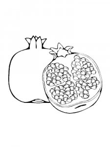 Pomegranate coloring page 13 - Free printable