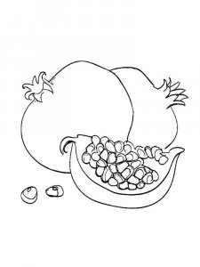 Pomegranate coloring page 15 - Free printable