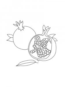 Pomegranate coloring page 16 - Free printable