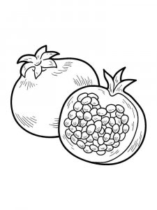 Pomegranate coloring page 4 - Free printable