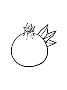 Pomegranate coloring page 6 - Free printable