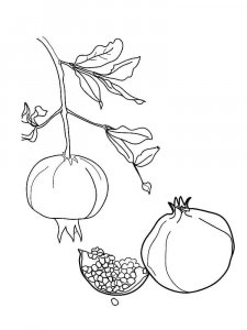 Pomegranate coloring page 7 - Free printable