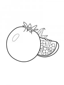 Pomegranate coloring page 8 - Free printable