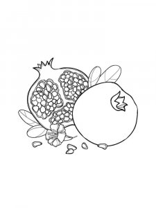 Pomegranate coloring page 9 - Free printable