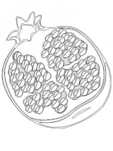 Pomegranate coloring page 26 - Free printable