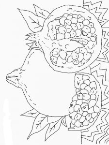Pomegranate coloring page 28 - Free printable