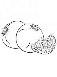Pomegranate coloring page 25 - Free printable