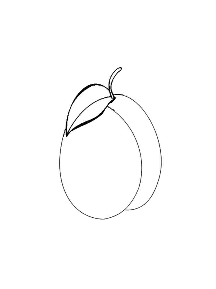 Plum Coloring Pages Download And Print Plum Coloring Pages 