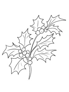 Christmas Holly coloring page 1 - Free printable