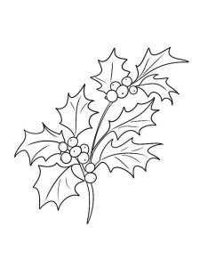 Christmas Holly coloring page 14 - Free printable