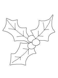Christmas Holly coloring page 16 - Free printable