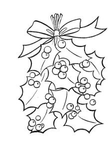 Christmas Holly coloring page 6 - Free printable