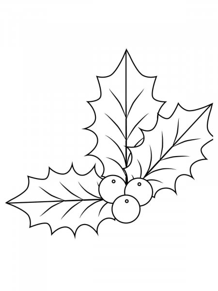 Christmas Holly coloring page - Free printable