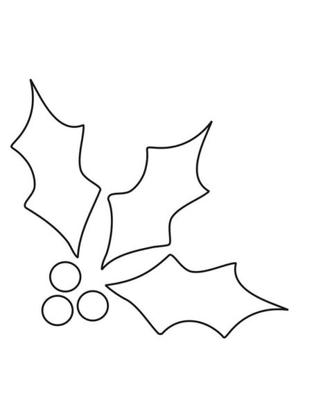 Christmas Holly coloring page - Free printable