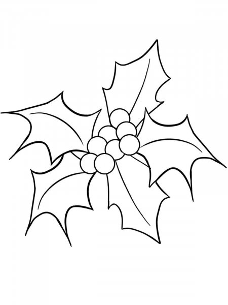 Christmas Holly coloring page - Free printable