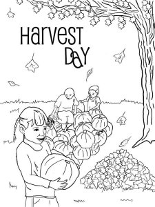 Harvest coloring page 18 - Free printable