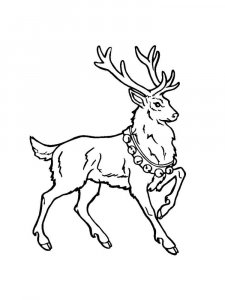 Reindeer coloring page 16 - Free printable