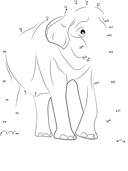 Animals Dot to Dot coloring pages