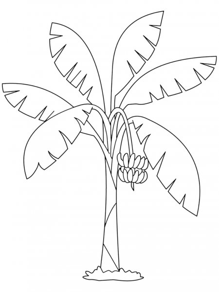 Banana Tree coloring pages - Banana Tree Coloring Page 1 