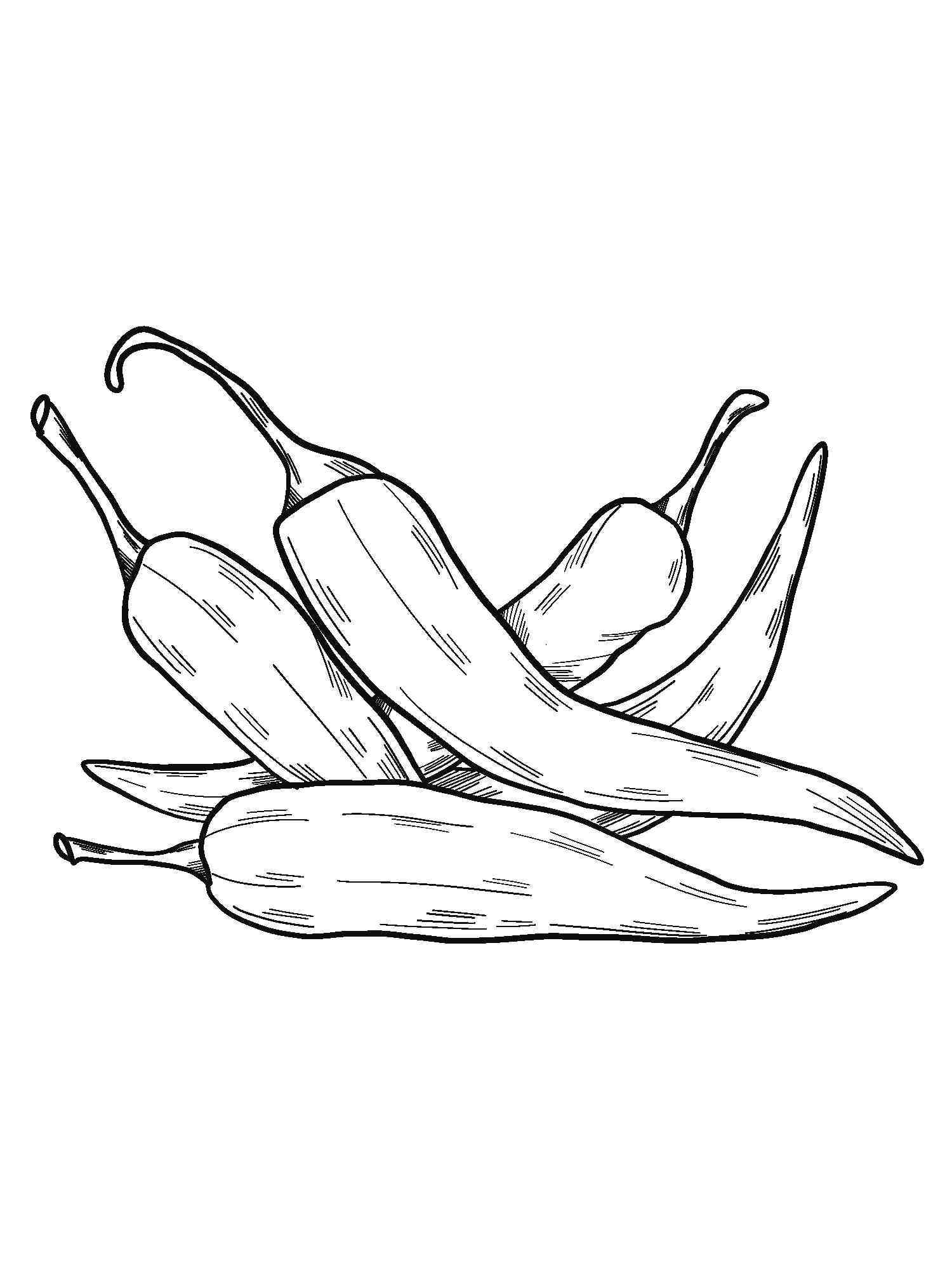 Chili Pepper Coloring Pages