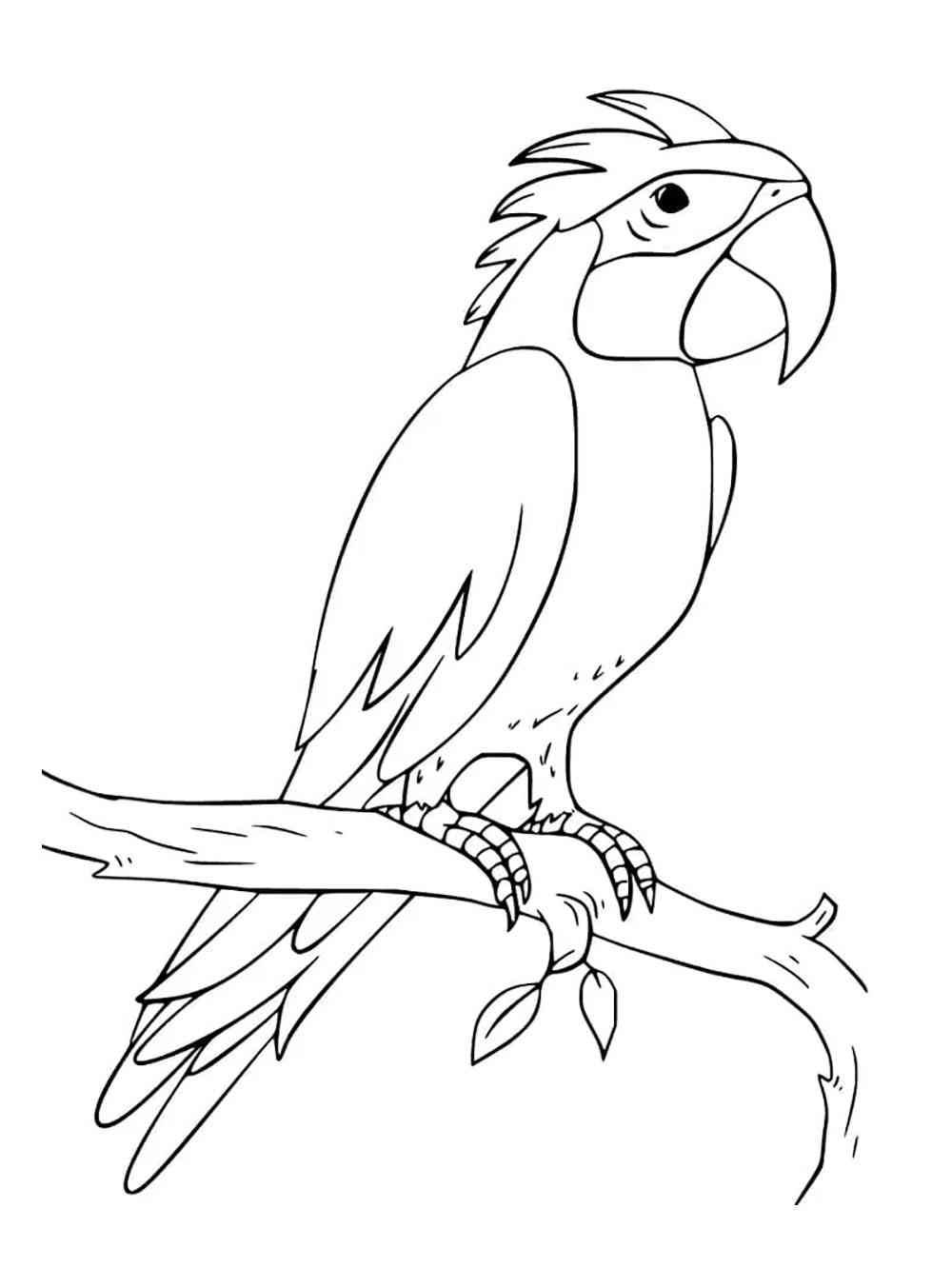 Cockatiel coloring pages