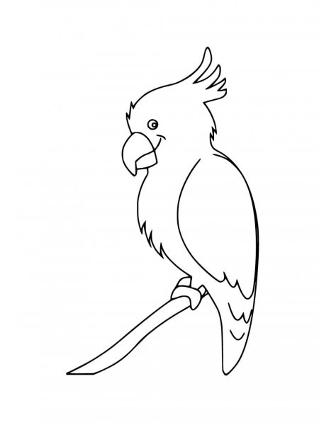 Cockatiel coloring pages