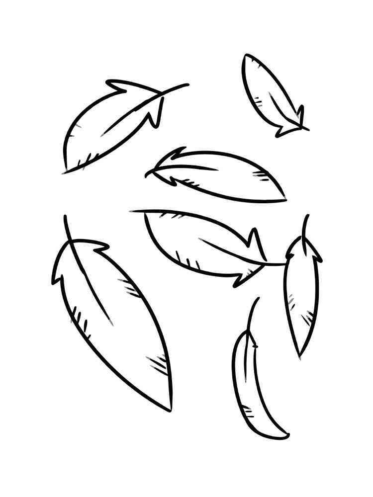 Feathers coloring pages. Free Printable Feathers coloring pages.