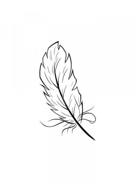 Feathers coloring pages