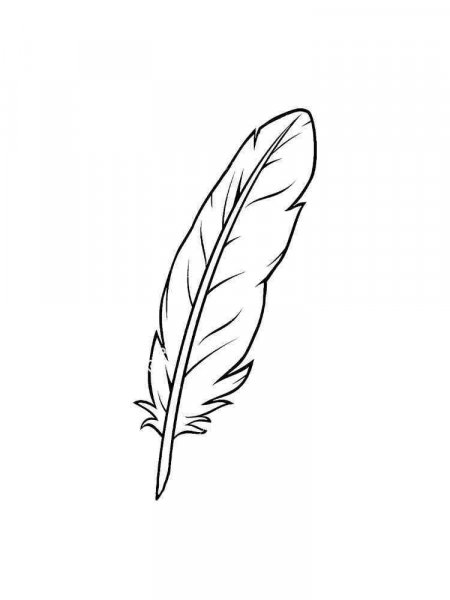 Feathers Coloring Pages