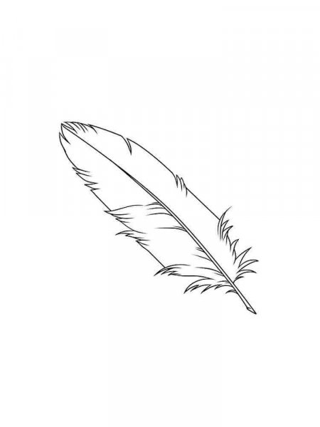 Feathers Coloring Pages