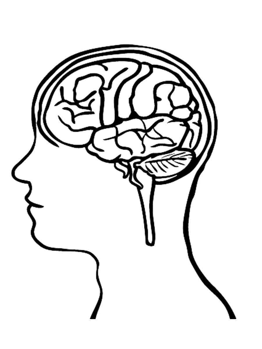 Human Brain coloring pages