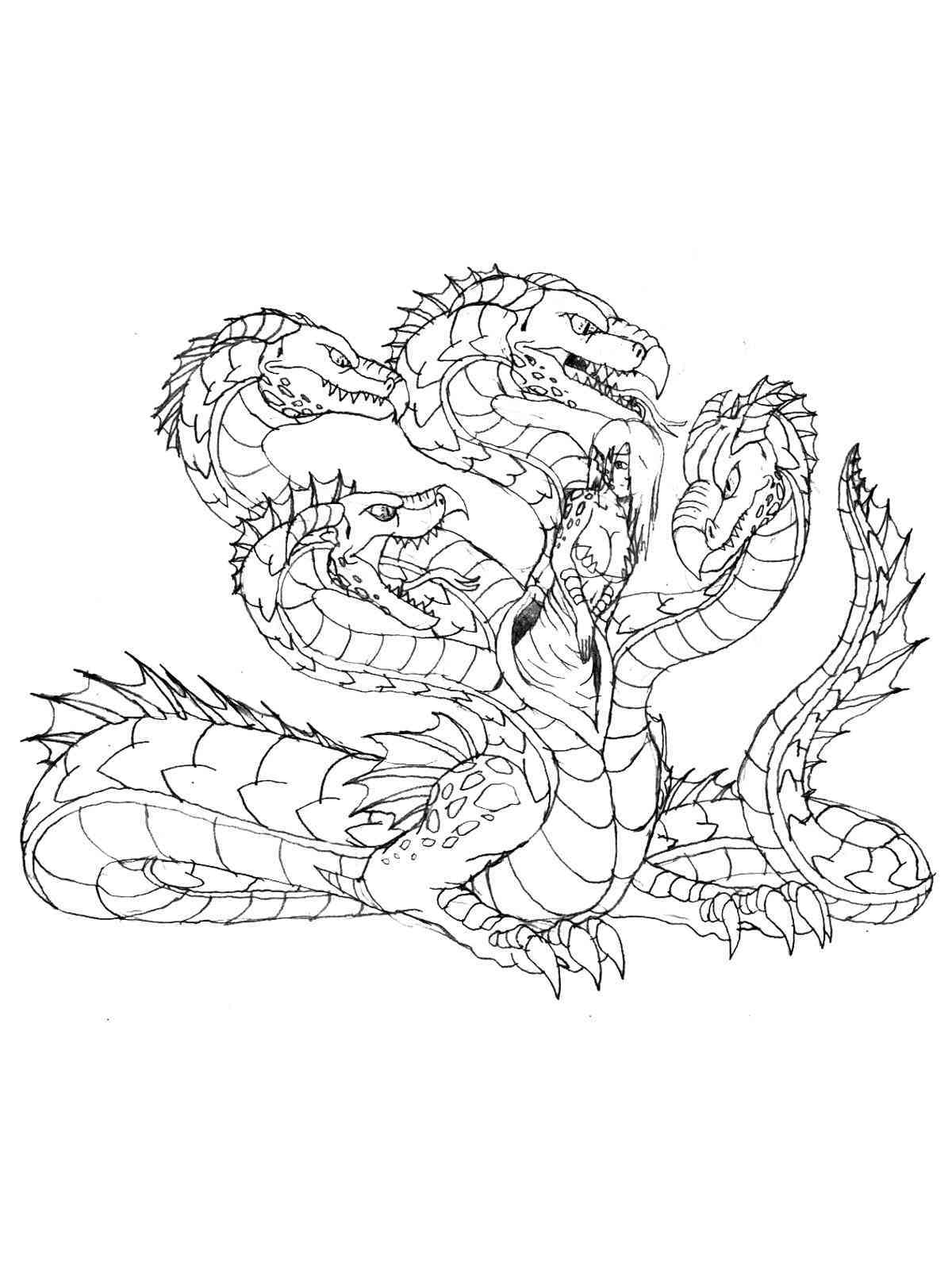 Раскраска дракон гидра