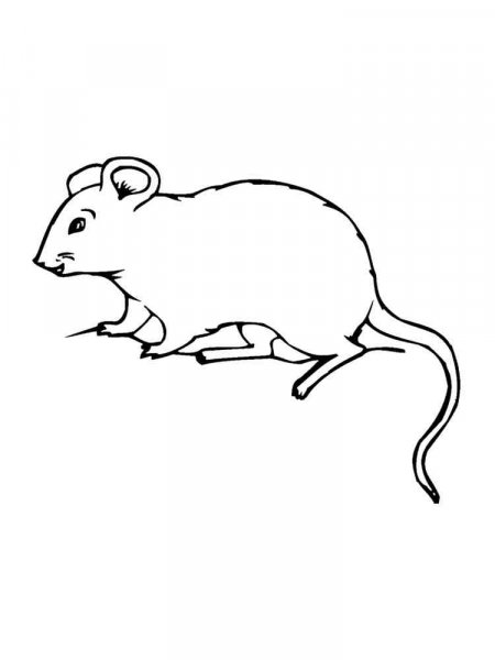 Mouse coloring pages