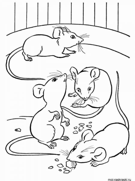 Mouse coloring pages