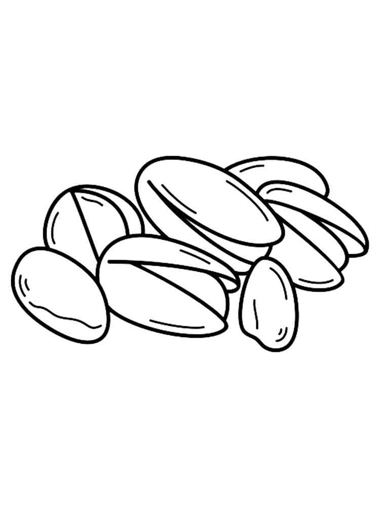 Coloring Pages Nuts - a collection of images of fruits ripening on trees an...
