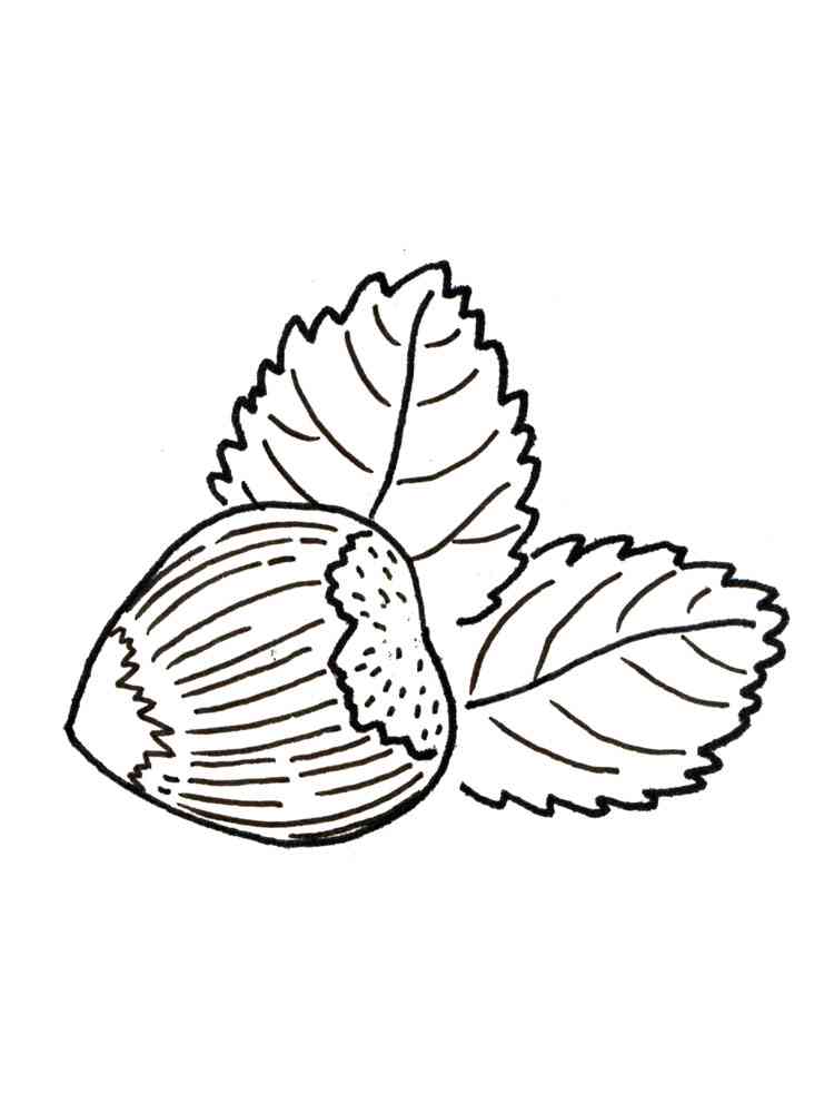 Free printable Nuts coloring pages.