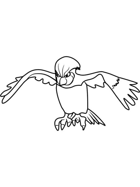 10 Classic Pokemon Coloring Pages Featuring Pidgeotto: Unleash Your Inner Artist