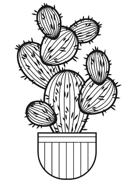 Succulent coloring pages