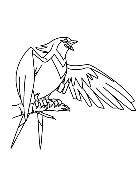 swellow coloring page high quality pokemon