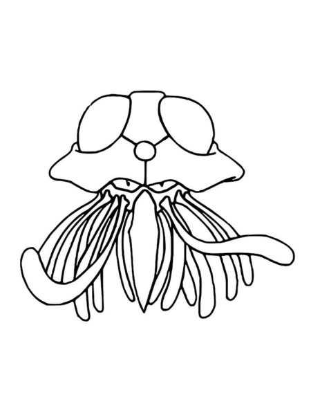 10 Tentacruel Pokémon Coloring Pages for Creative Kids